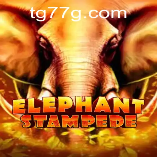 Discover the Thrilling World of ElephantStampede: A Comprehensive Guide